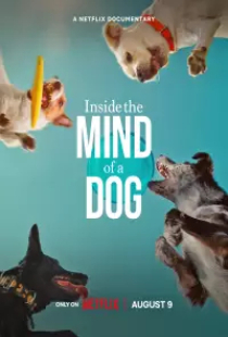 دانلود فیلم درون ذهن یک سگ 2024 Inside the Mind of a Dog