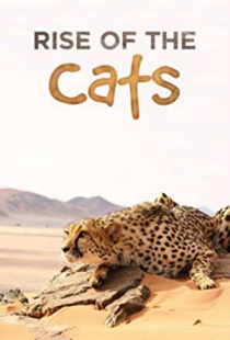 دانلود مستند گربه سانان 2015 Cats An Amazing Animal Family 1 + زیرنویس