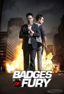 دانلود فیلم علائم خشم Badges of Fury 2013 + دوبله فارسی