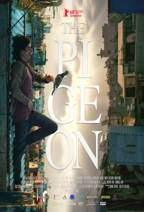 دانلود فیلم کبوتر The Pigeon 2018 + زیرنویس فارسی