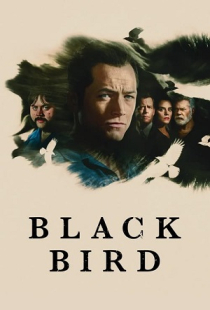 پرنده سیاه