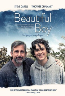 دانلود فیلم پسر زیبا Beautiful Boy 2018 + زیرنویس فارسی