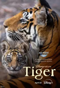 دانلود فیلم ببر 2024 2024 Tiger