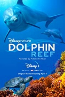 دانلود فیلم صخره دلفین 2018 Dolphin Reef + زیرنویس فارسی