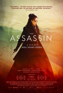 دانلود فیلم قاتل The Assassin 2015 + زیرنویس فارسی